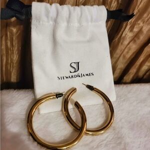 Elegant Gold Plated Hoop Earrings